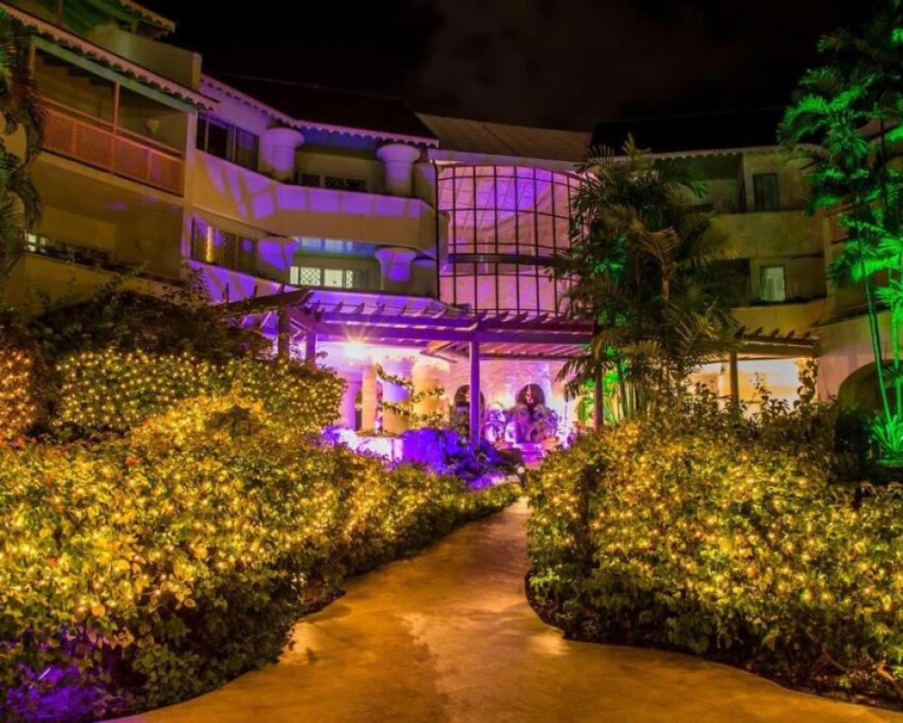 Bougainvillea Barbados