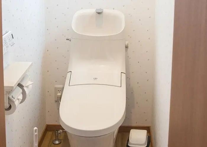 Mush Rooms