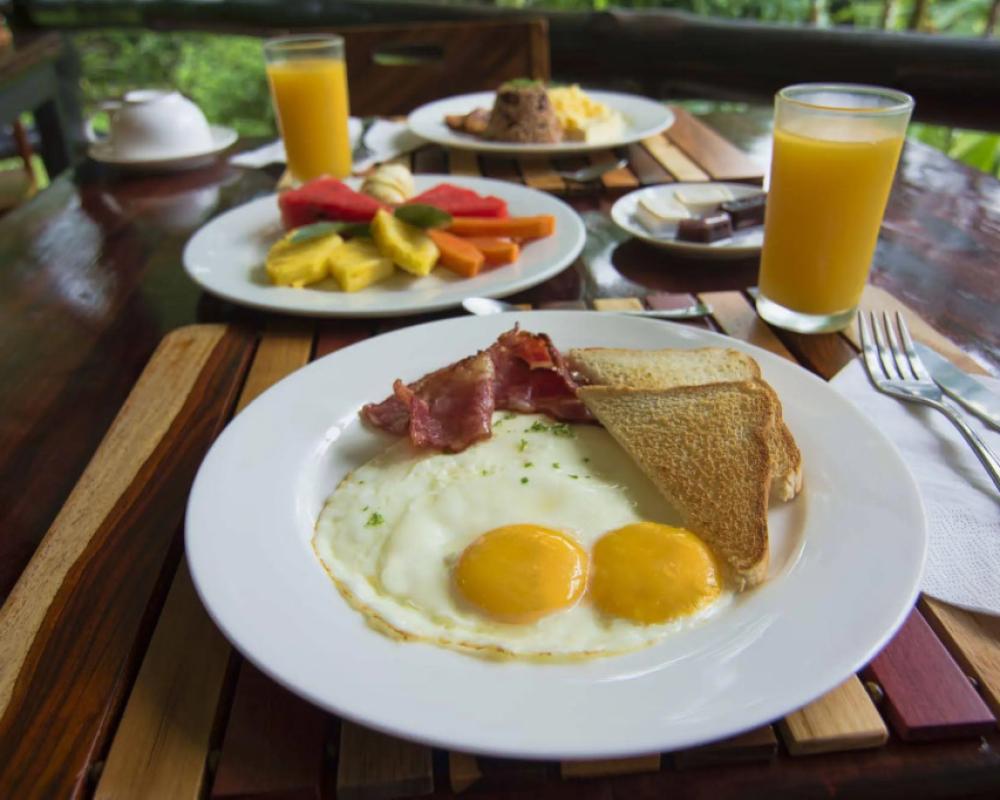 Chachagua Rainforest Hotel & Hot Springs