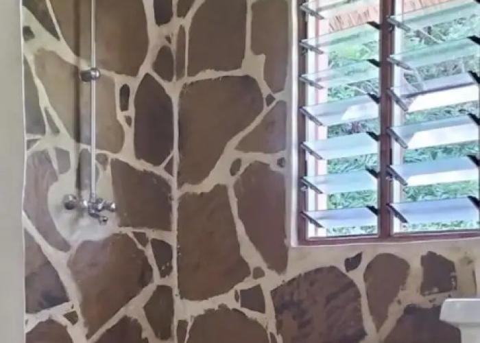 Cove House House 60 m2 Creekside Indian Ocean