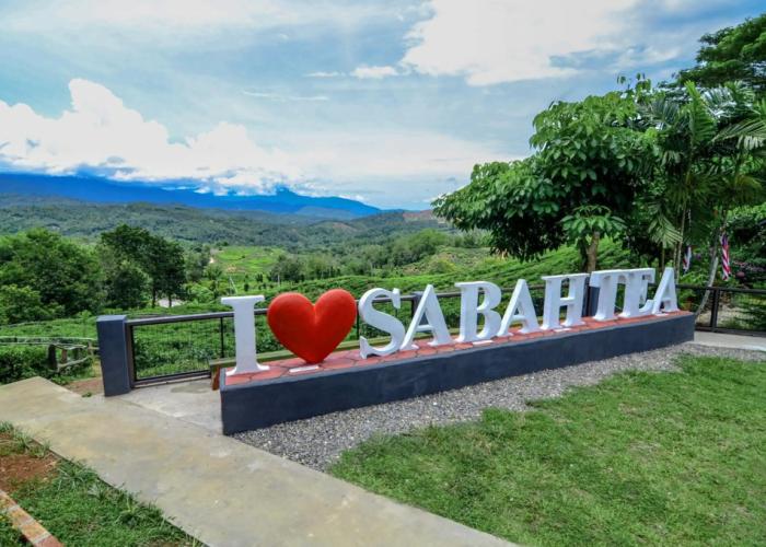 Sabah Tea Resort