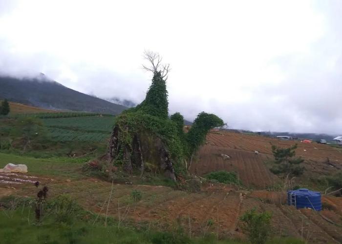 Mesilau Mountain Retreats