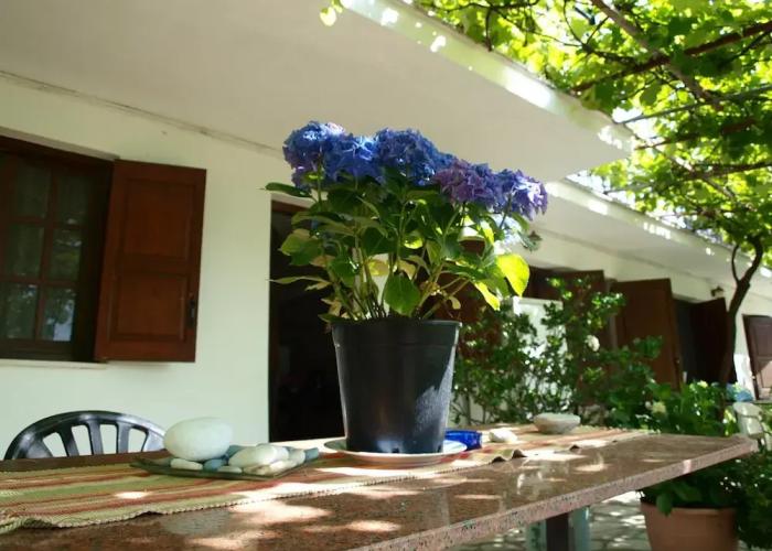 Paradeisos Studio With Garden View