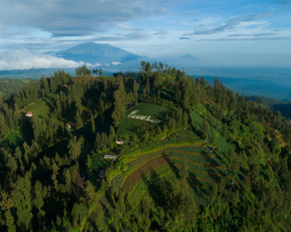 фото Plataran Bromo