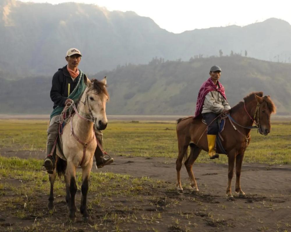 фото Plataran Bromo