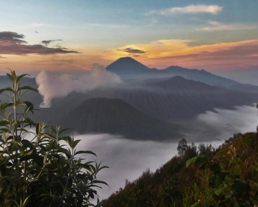фото Plataran Bromo