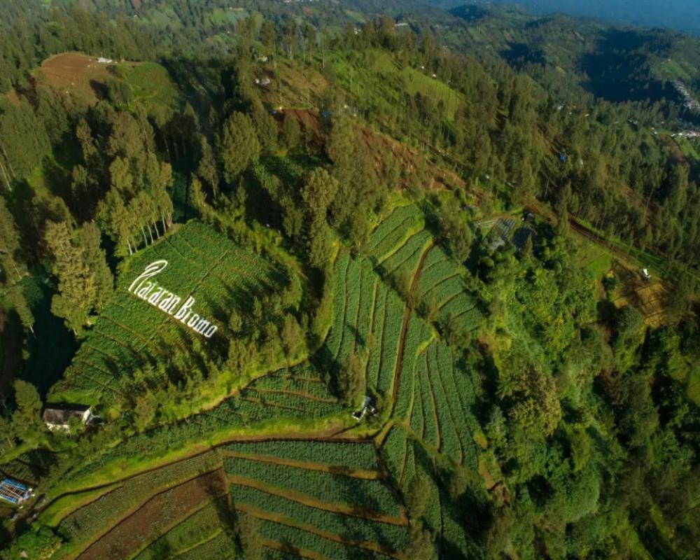 фото Plataran Bromo
