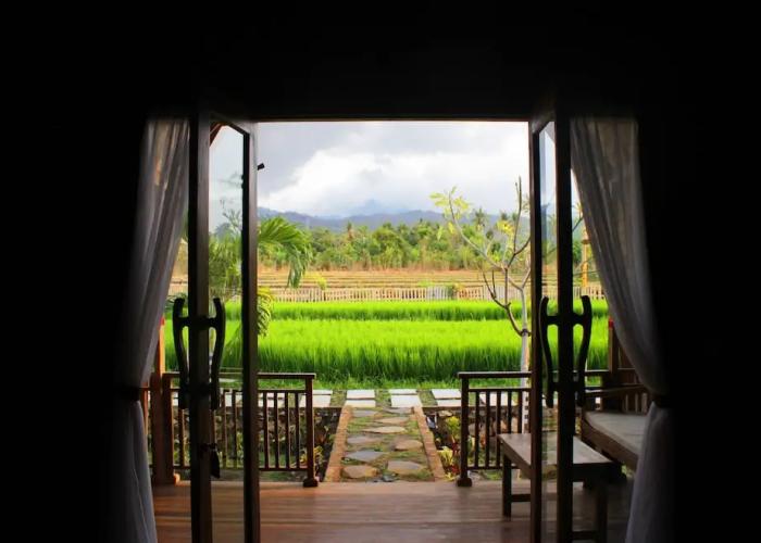Umma Bali Menjangan