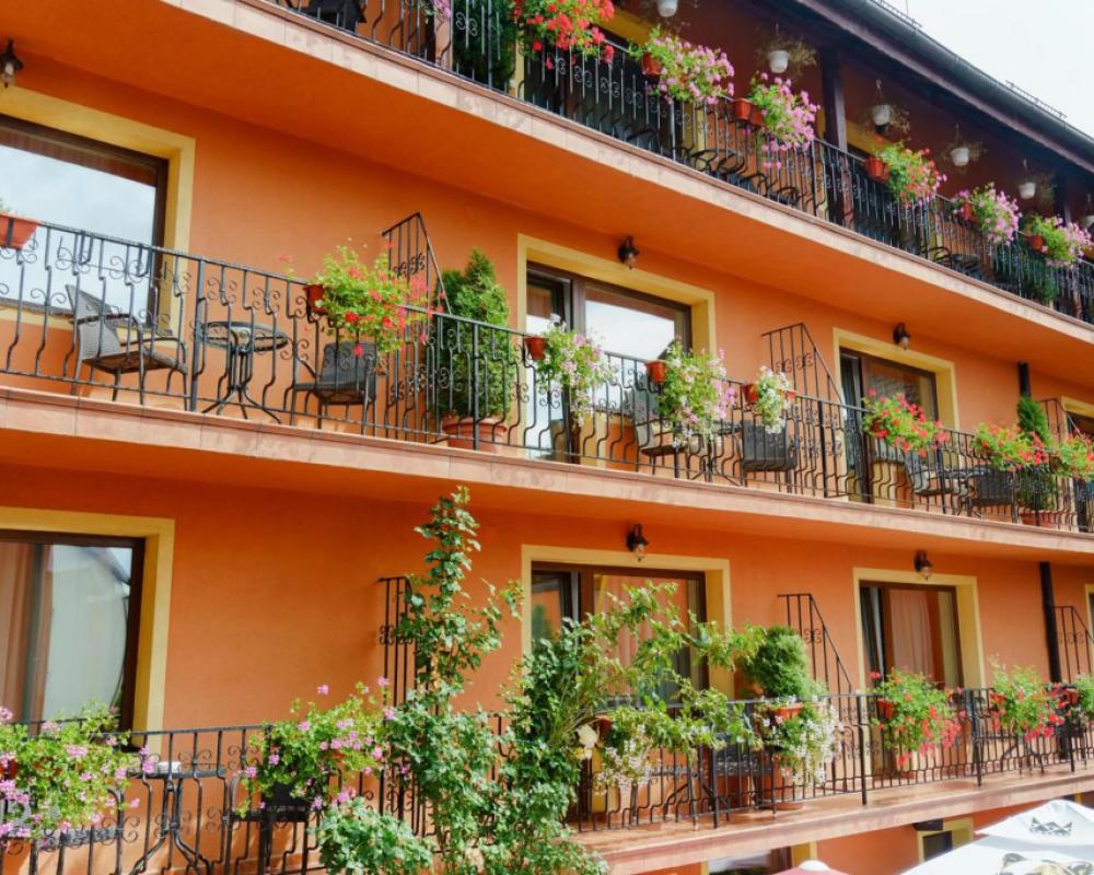 Complex Turistic Max International