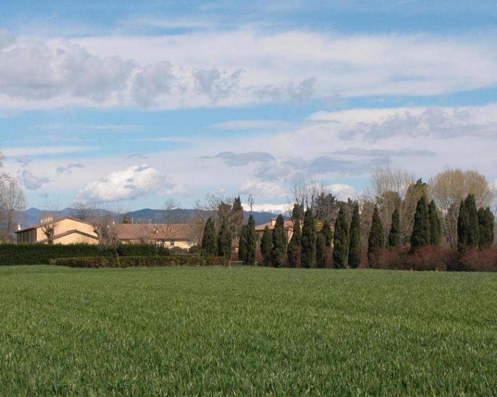 Fattoria di Migliarino