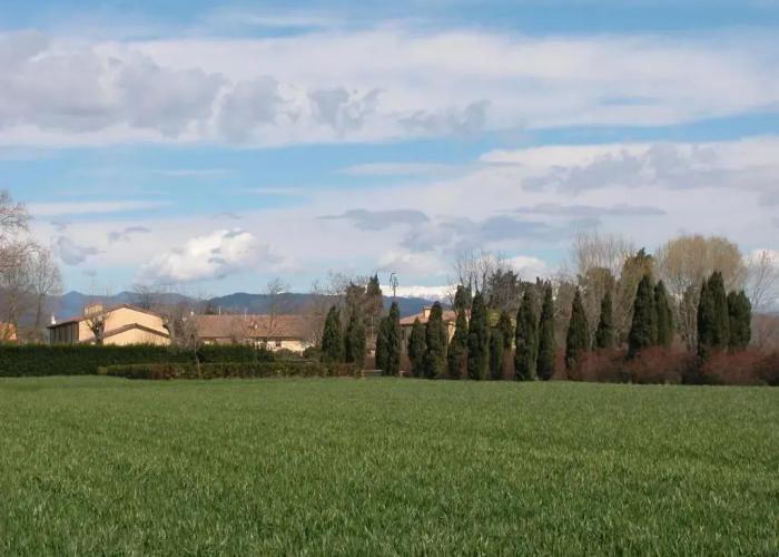 Fattoria di Migliarino