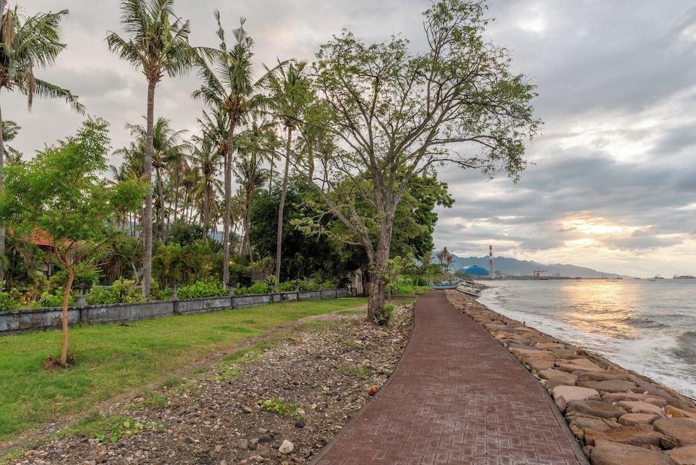 фото Villa Burung