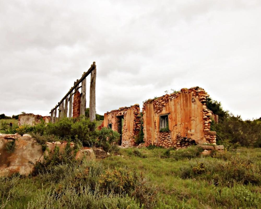 Hlosi Game Lodge - Amakhala Game Reserve