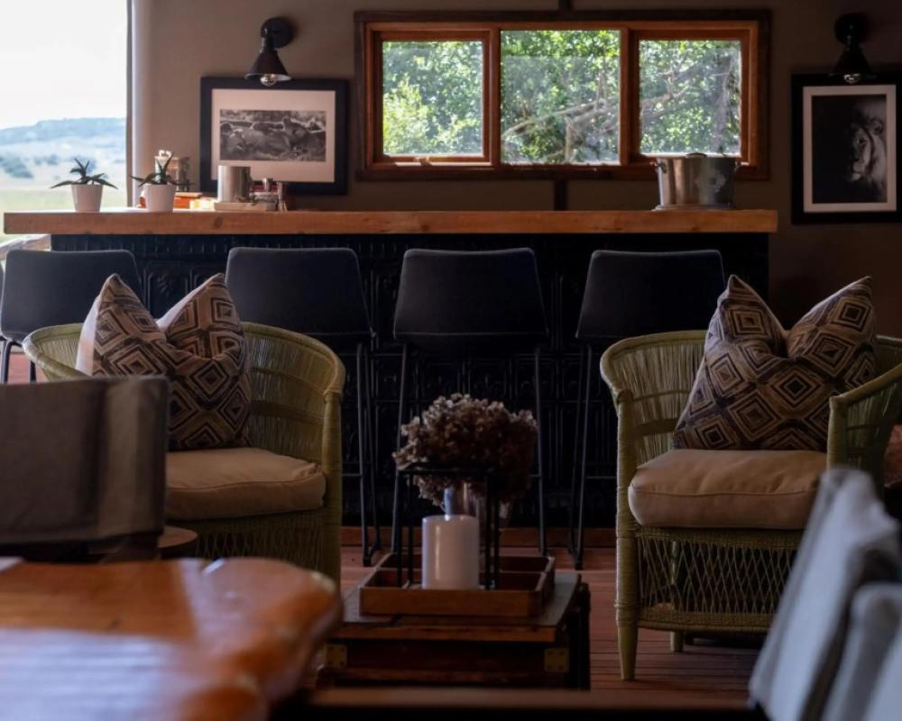 HillsNek Safari Camp - Amakhala Game Reserve