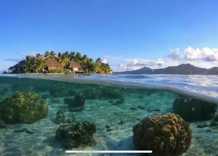 EDEN - Private Island - TAHA'A