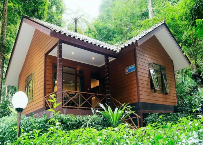 Taman Safari Lodge