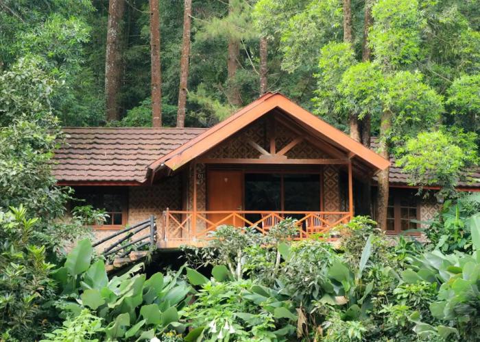Taman Safari Lodge