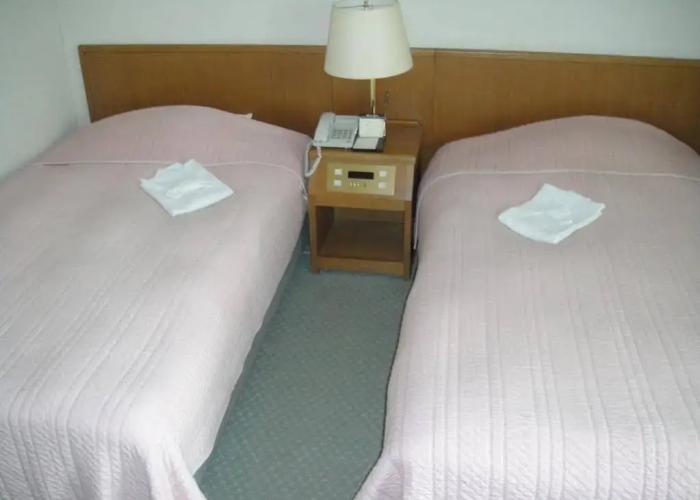 Hotel New Mogamiya