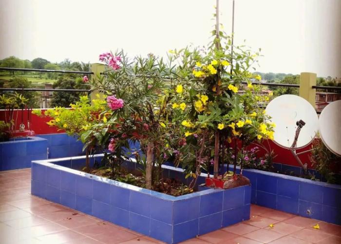 Eagle Nest Home Stay