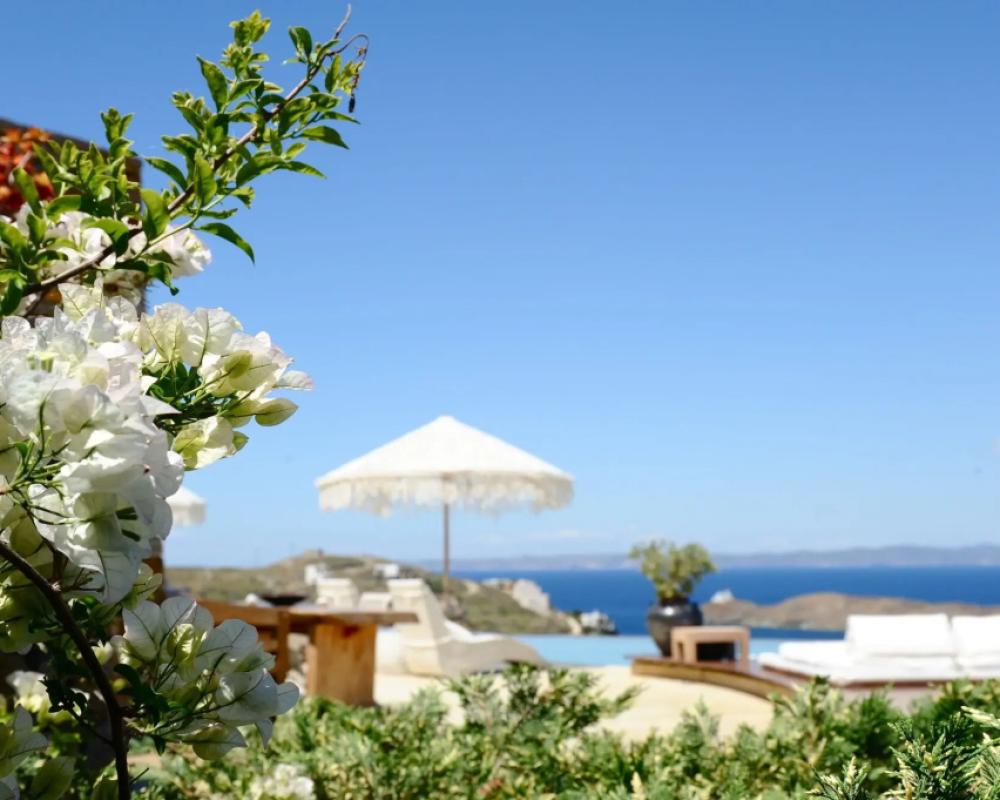 фото Aigis Suites