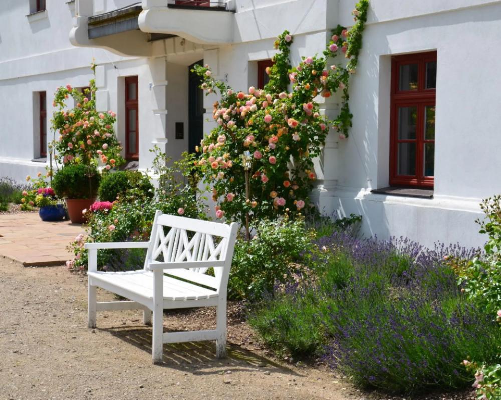 Apartment in Satow With Garden