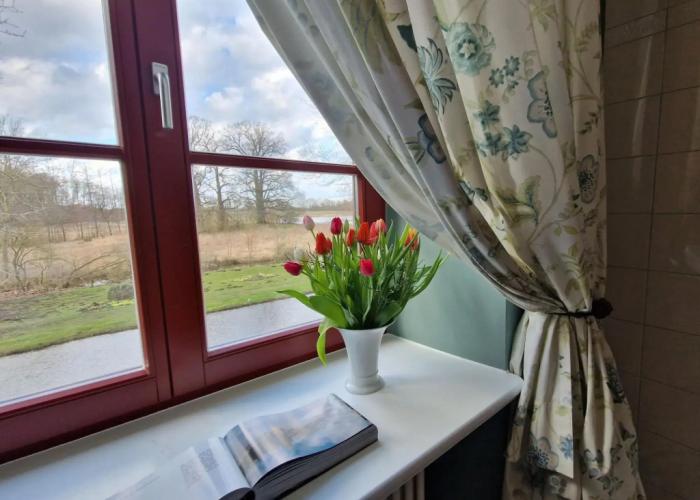 Apartment in Satow With Garden