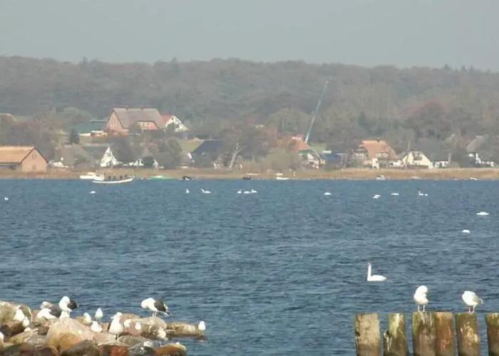 Pension Deichgraf Middelhagen