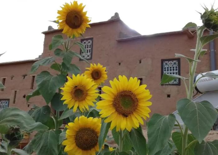 Kasbah Izoran
