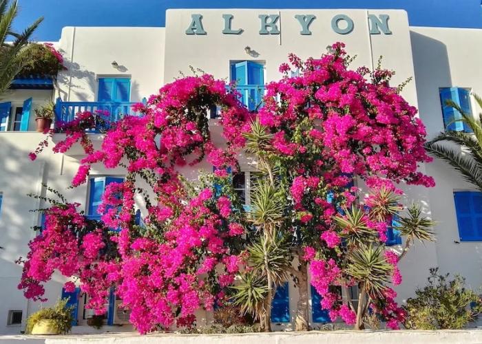 Hotel Alkyon