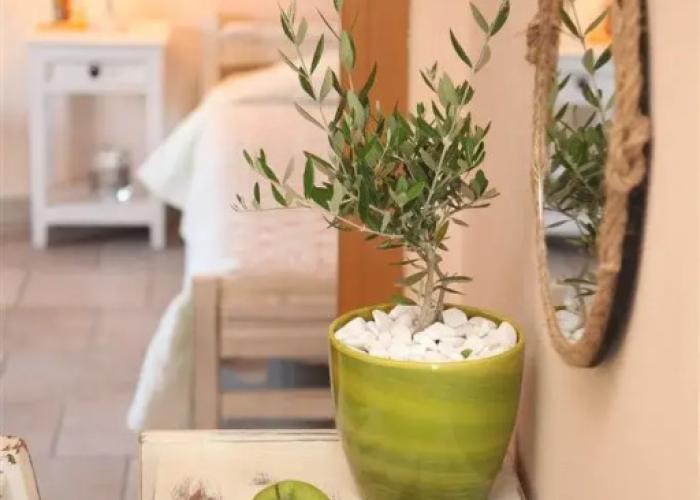 Ventoura Studios & Apartments