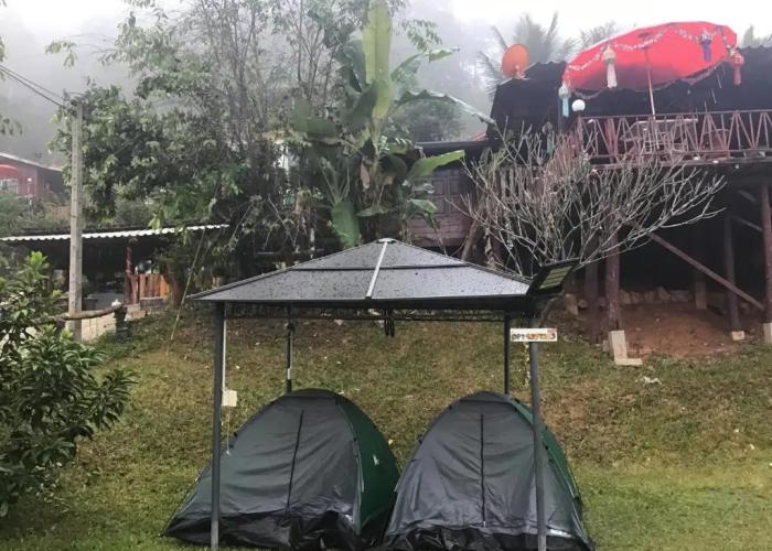 Forest Guesthouse
