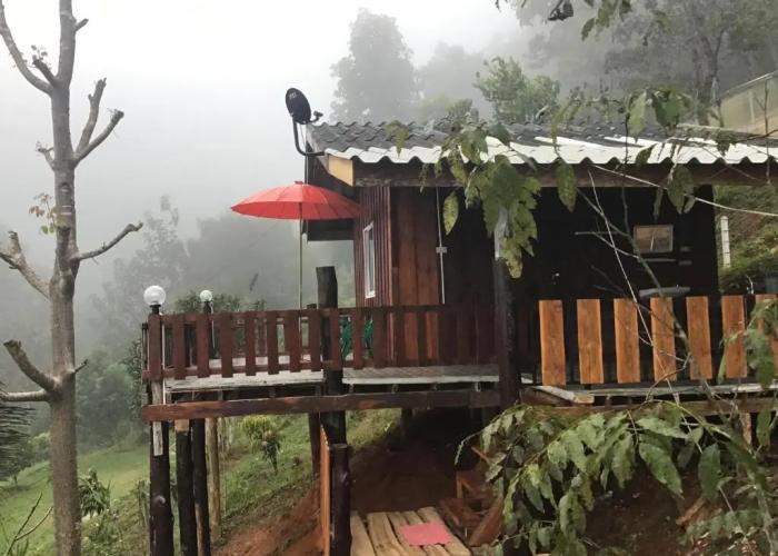 Forest Guesthouse