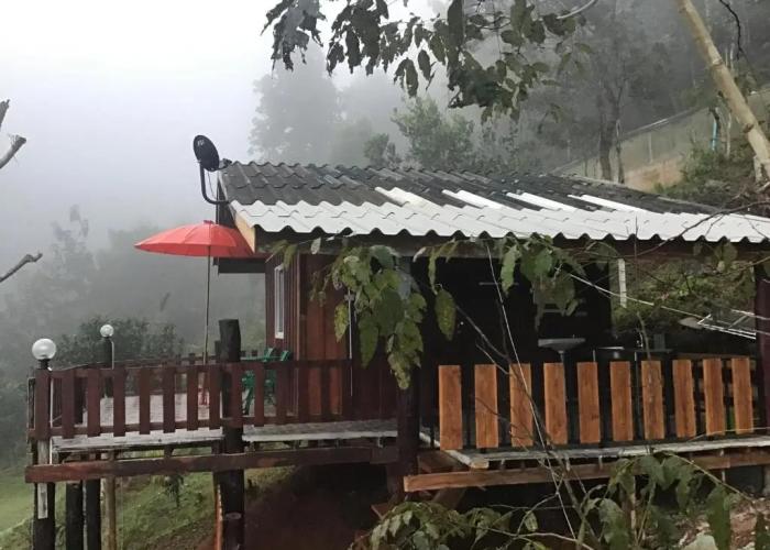 Forest Guesthouse