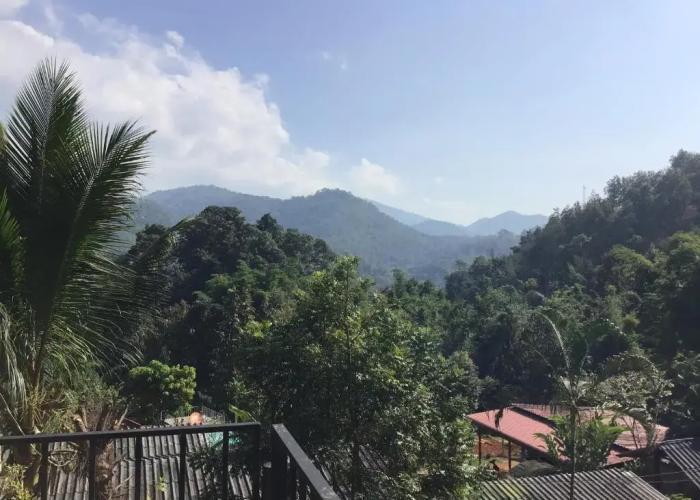 Forest Guesthouse