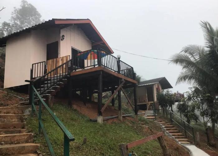 Forest Guesthouse