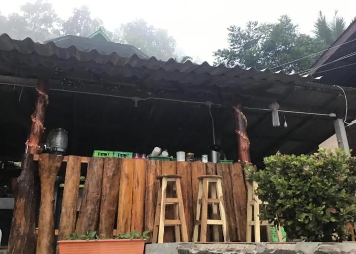 Forest Guesthouse
