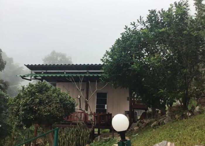 Forest Guesthouse