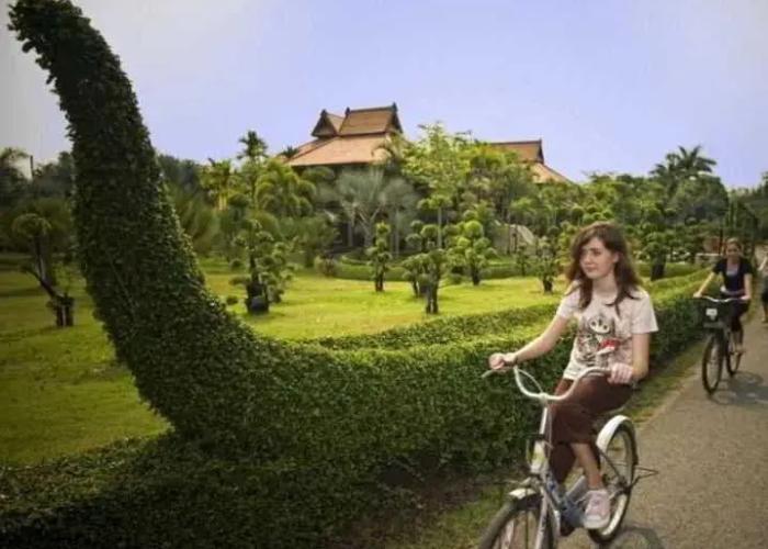 Horizon Village & Resort