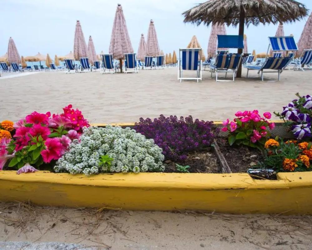 фото Hotel Cerrano