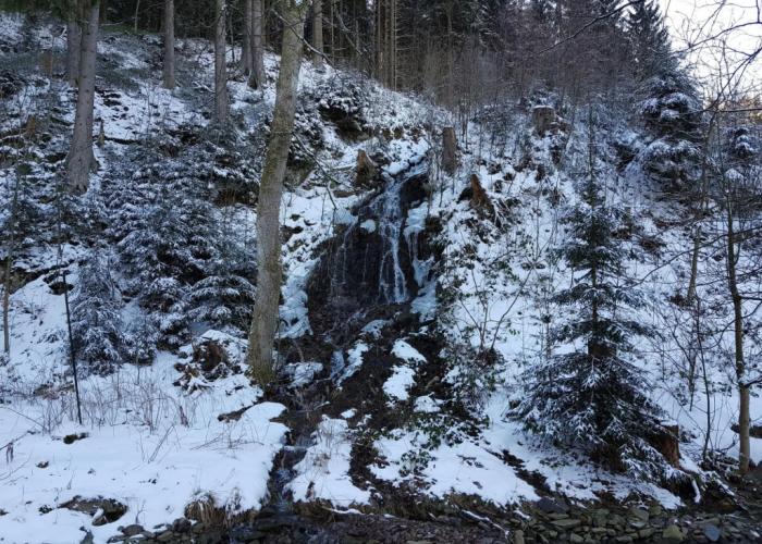 Apartment in Wildemann Harz Near the ski Area