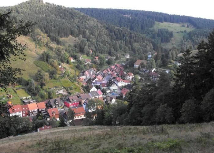 Apartment in Wildemann Near Hahnenklee Ski Area
