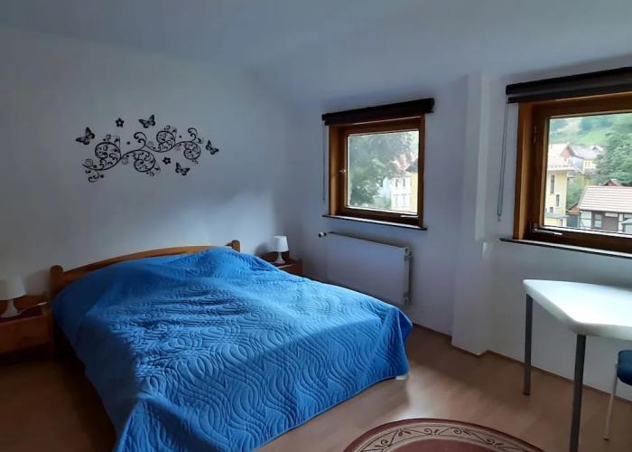 Cozy Holiday Apartment in the Harz