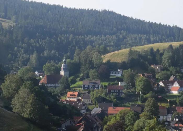 Cozy Holiday Apartment in the Harz