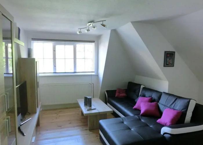 Adorable Aparment in Wildemann With Parking