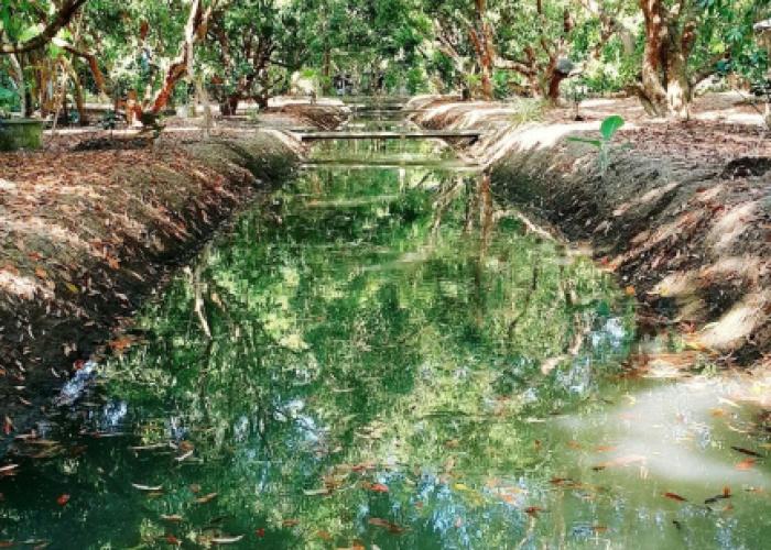 Warakorn Baansuan - Amphawa