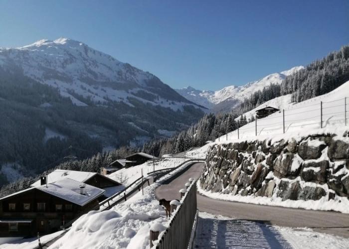 Holiday Flat Schoser, Fugen