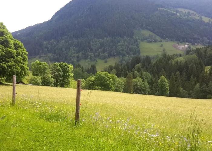 Cozy Holiday Apartment With Sauna in Schladming