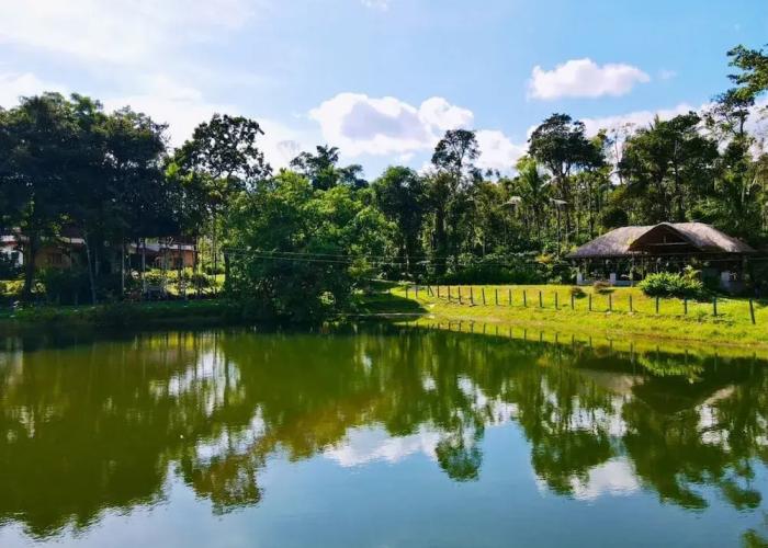 The Windchimes Retreat