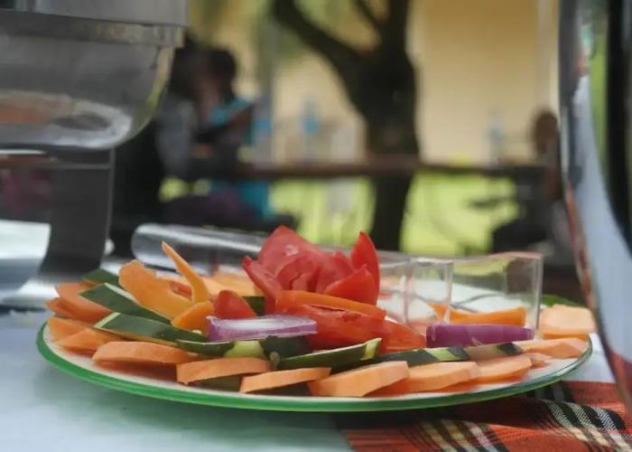 Kilemakyaro Mountain Lodge