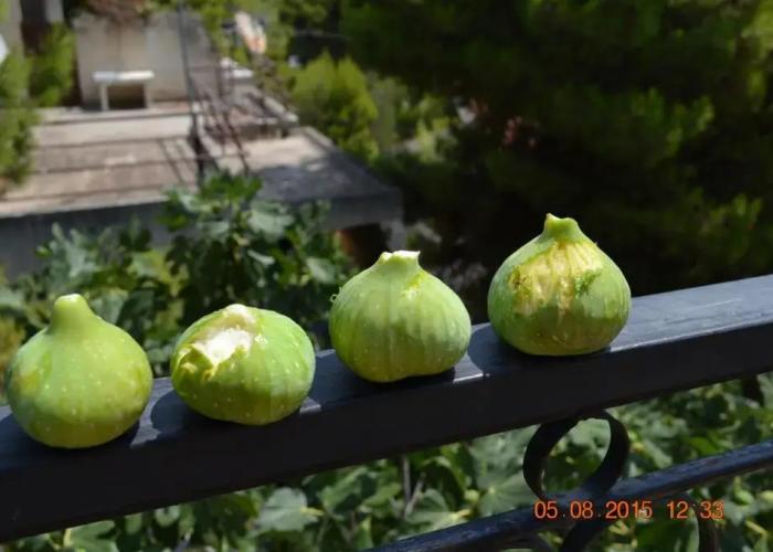 Apartments Zoumperi
